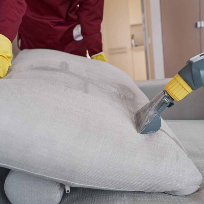 Cropped photo of experienced janitorial personnel cleaning sofa pillow with steam cleaner